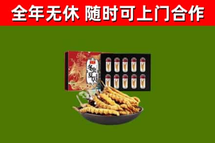 平邑县回收冬虫夏草价格